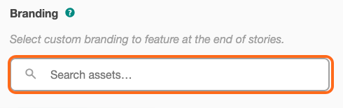 A screenshot of adding a custom branding within the Story Preset.